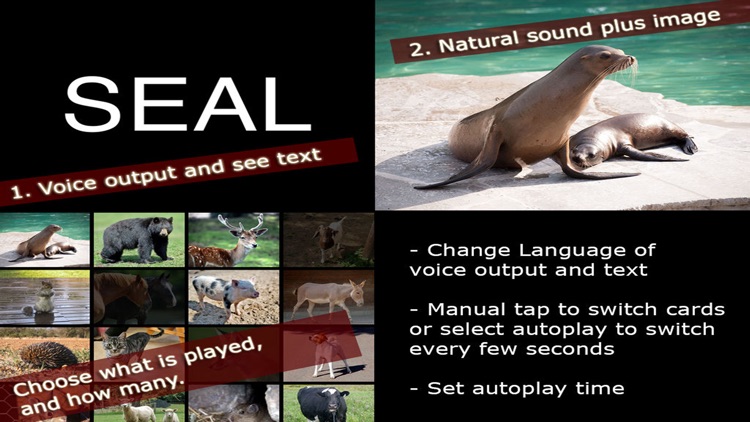 Learn Reading for Babys and Toddlers