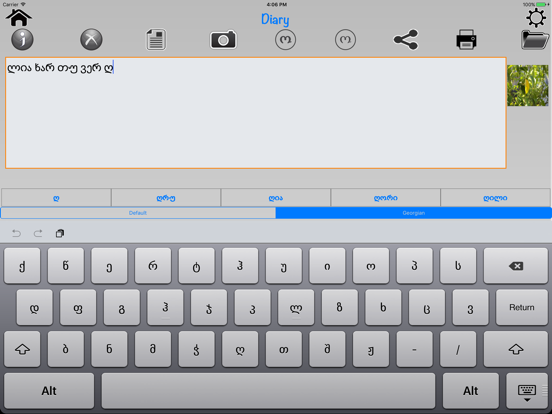 Screenshot #6 pour Georgian Dictionary