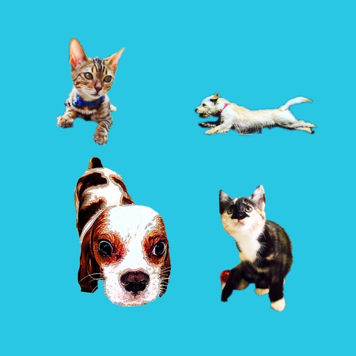 Pet Pack