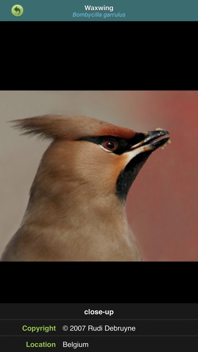 Birds of Britain and Ireland (Pro Edition) Screenshot 4