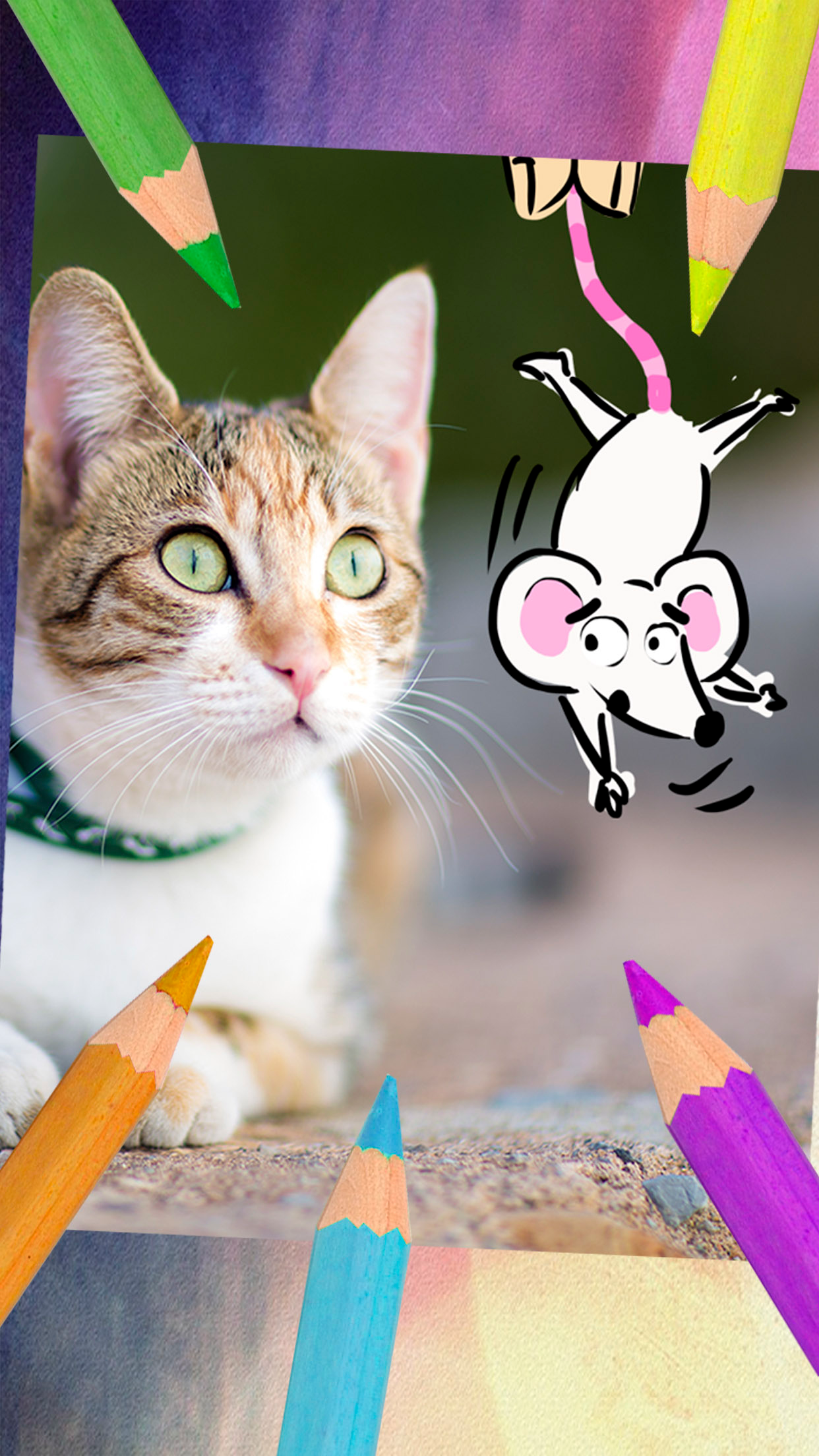 Drawings on photos – Take notes & draw on images screenshot 4
