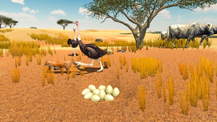 Furious  Ostrich Simulator screenshot-4