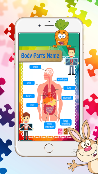 Screenshot #1 pour Body Parts Name: Apprendre l'anglais en ligne
