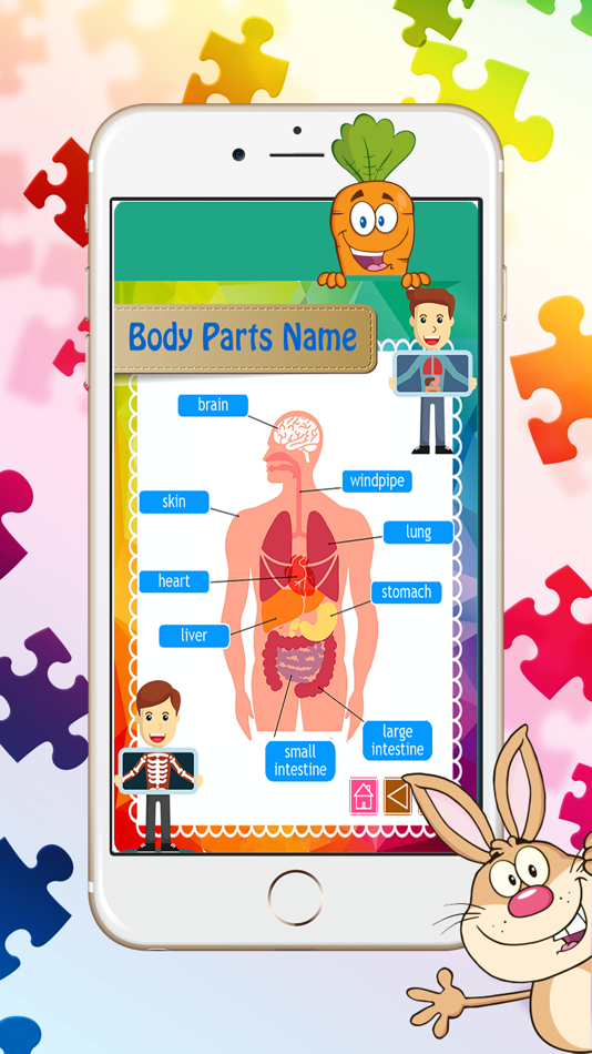 Reading Body Parts Name English Picture Vocabulary - 1.0 - (iOS)