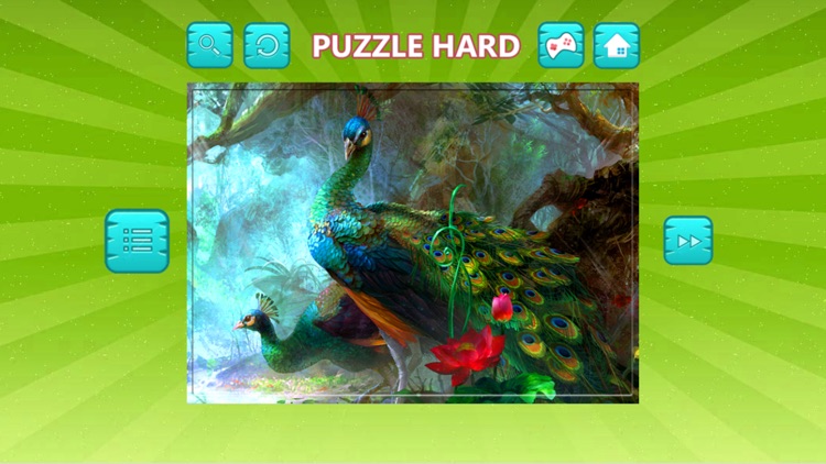Bird Jigsaw Easy and Hard - Learn Puzzles For Kids
