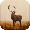 Deer Hunting Calls New App Feedback