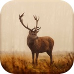 Download Deer Hunting Calls New app