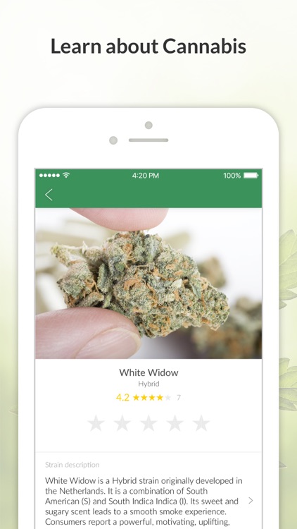 MassRoots Medical Cannabis
