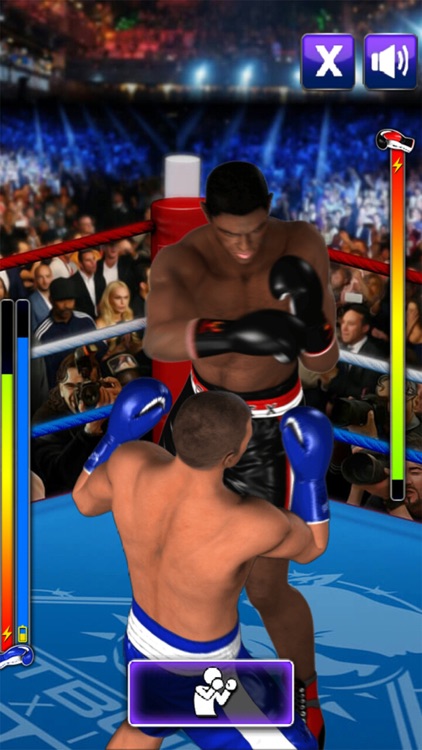 Knockout Punch Boxing - 3D Fighting Game