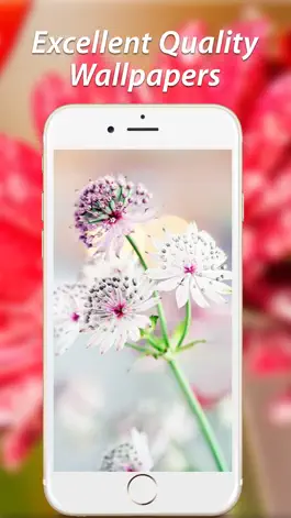 Game screenshot Amazing Flower Wallpapers HD mod apk