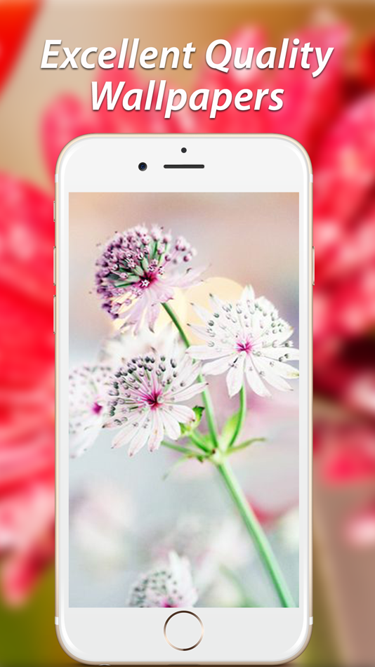 Amazing Flower Wallpapers HD - 1.0 - (iOS)