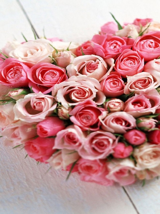 Flowers HD Wallpaper Lock Screen And Flowers Games