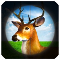 Wild Hunter Jungle 3D