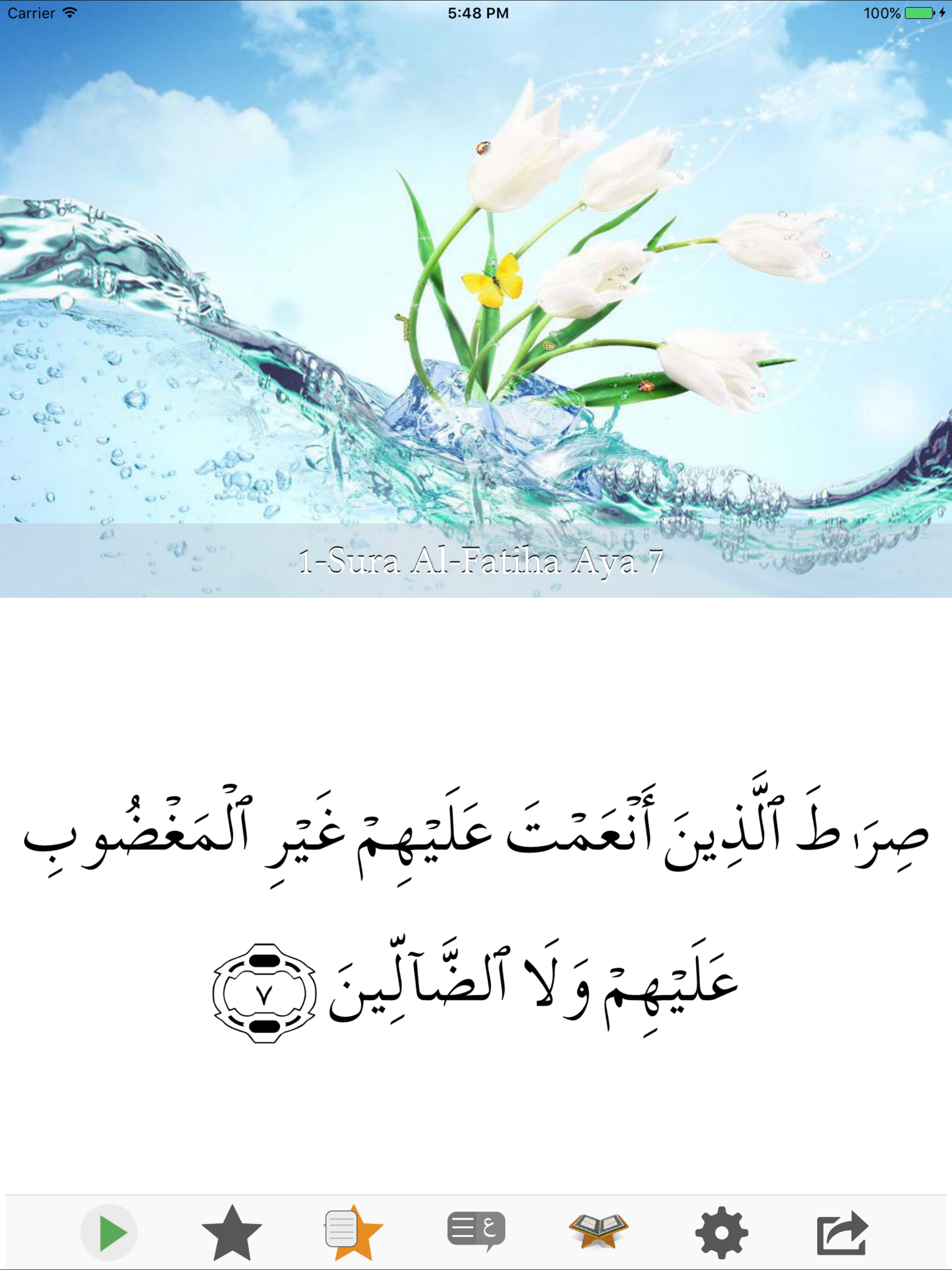 Visual Quran