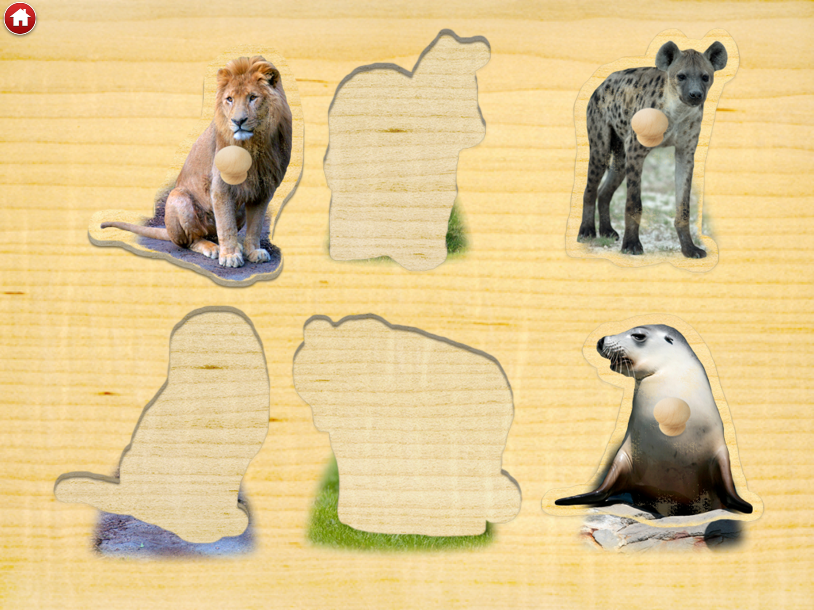 Zoo Sounds - Fun Educational Games for Kids screenshot 7