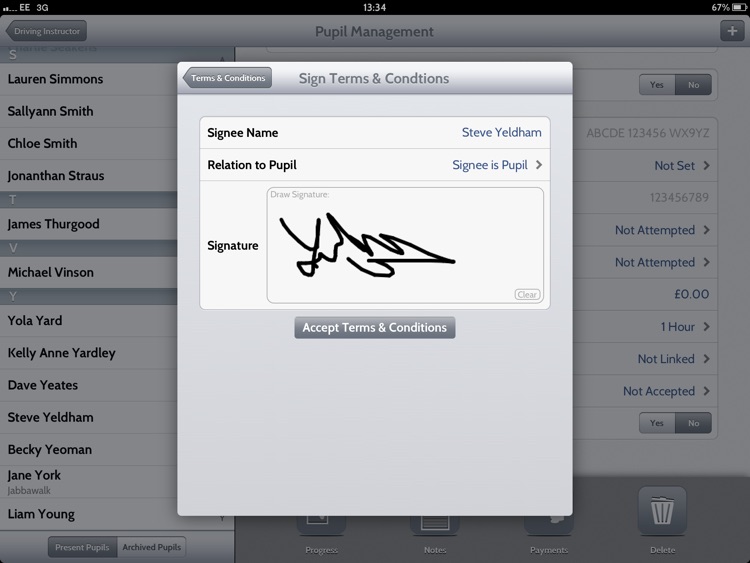 Driving Instructor screenshot-4