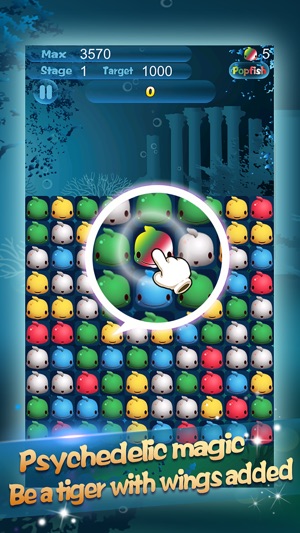 Joy of Fish(圖4)-速報App