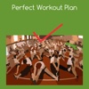 Perfect workout plan