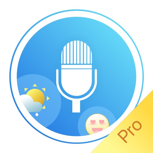 Voice Diary -Pro  Keep a Diary by Voices