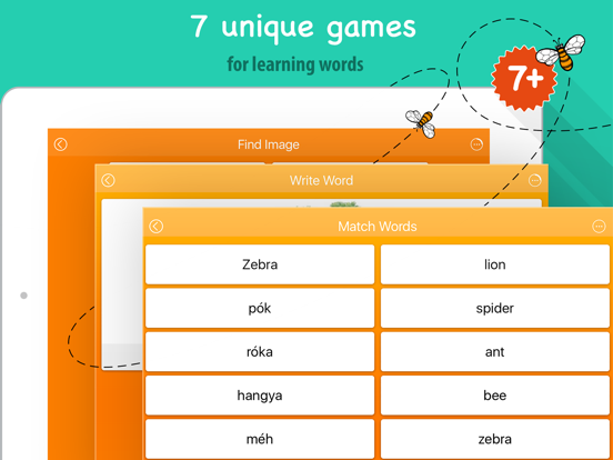 6000 Words - Learn Hungarian Language & Vocabulary iPad screenshot 4 - Education app