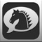 SocialChess is a fun way to play fast or slow chess with friends or with random opponents