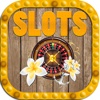SLOTS - Treasure Lost - Game Casino Vegas