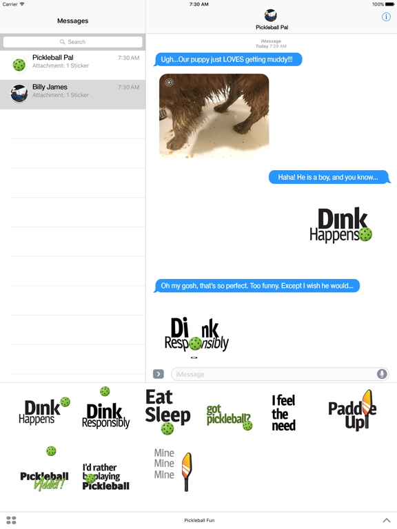 Pickleball Fun iPad screenshot 4 - Stickers app