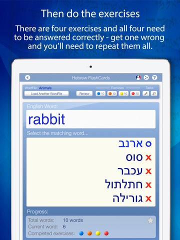 Declan Hebrew FlashCards for iPad screenshot 4