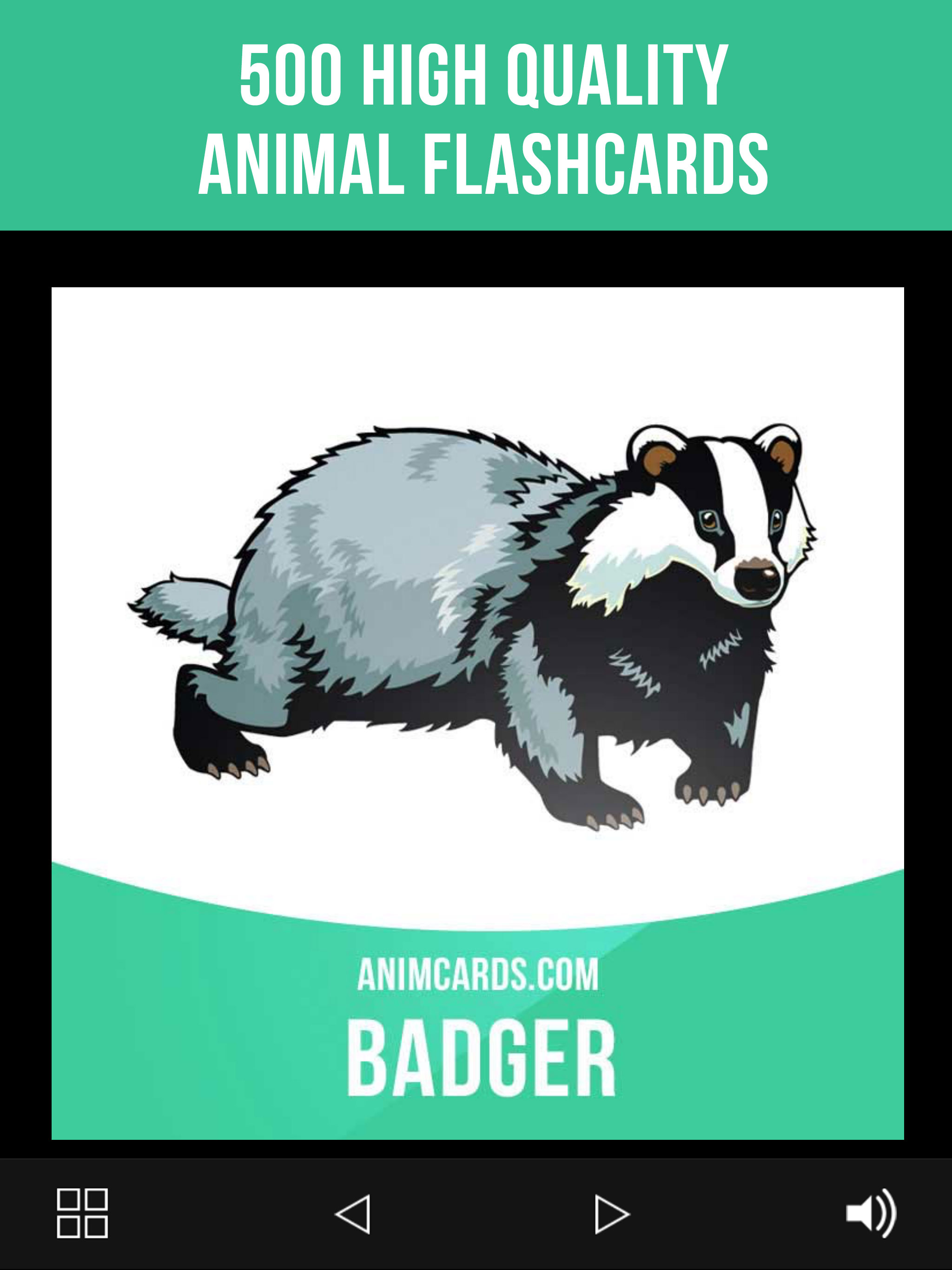 Animals Cards in English