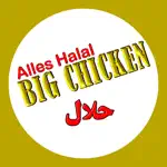 Big Chicken App Positive Reviews
