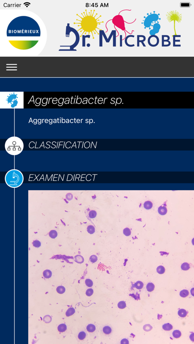 Dr Microbe Screenshot