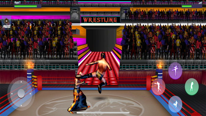 Wrestling Rumble Revolution 3D