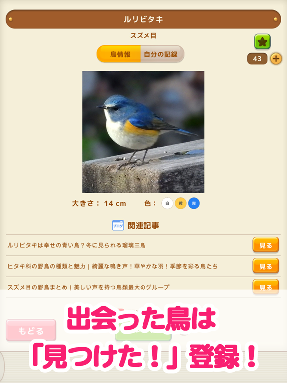 見つけた！野鳥図鑑のおすすめ画像2