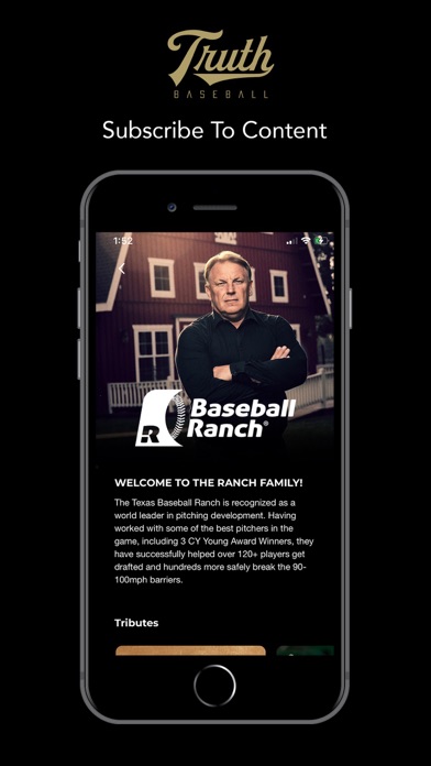 Truth Baseball Screenshot