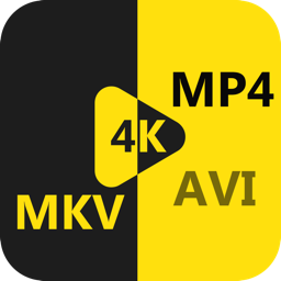 AnyMP4 MKV Convertisseur