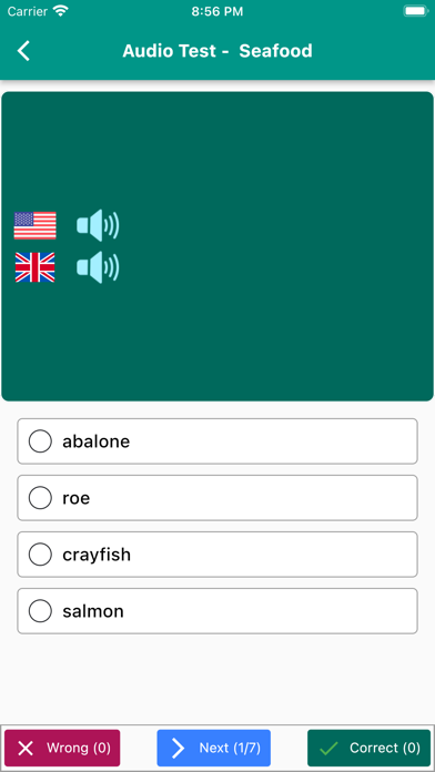 English Vocabulary in Use Screenshot