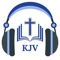 Read Recovered KJV Audio Bible with Many Reading Plans, Attractive UI and much more