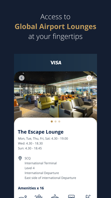 Visa Airport Companion Screenshot