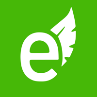 Eco Cars Northampton