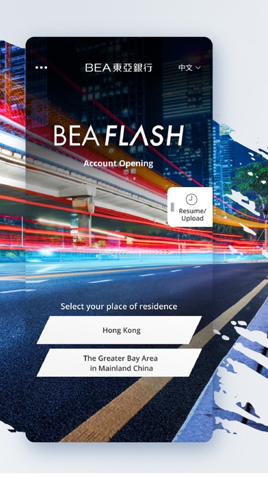 BEA Flash Screenshot