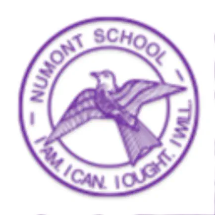Numont School Читы