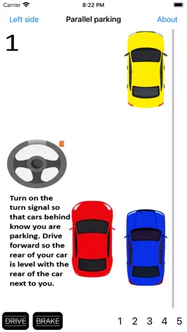 Game screenshot Car Driving Tricks apk