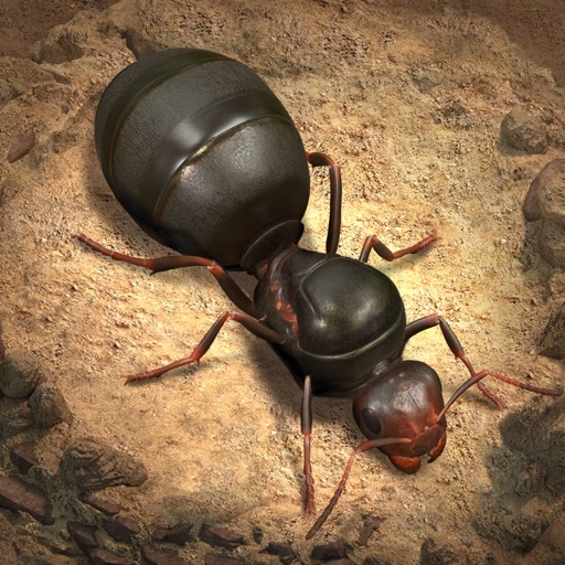 The Ants: Underground Kingdom iOS App