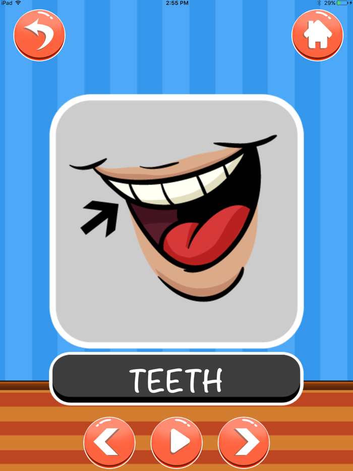 Learn about Body Parts