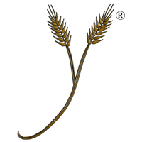 Yoshon.com Mobile App - Tovim Media, LLC Cover Art