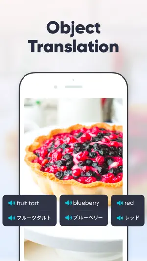 UDictionary Translator screenshot 7