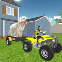 Pet Dog ATV Cargo Transport