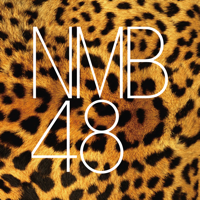 NMB48 Digital Gallery