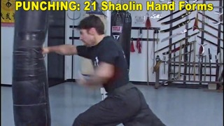 Shaolin Kung Fu Fundamentalのおすすめ画像4