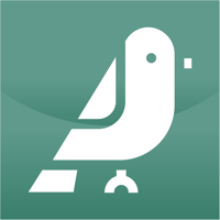 Magpie App